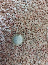 Maisspindelgranulat mit einer 1€ Münze als Größenvergleich